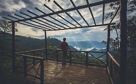 After The Rains - Rainforest Lodge